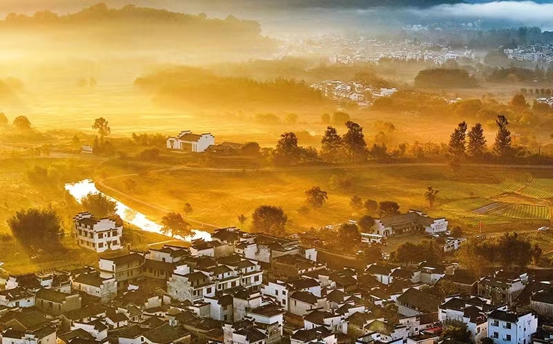 1700103587729013021.jpg 1700103587729013021.jpg