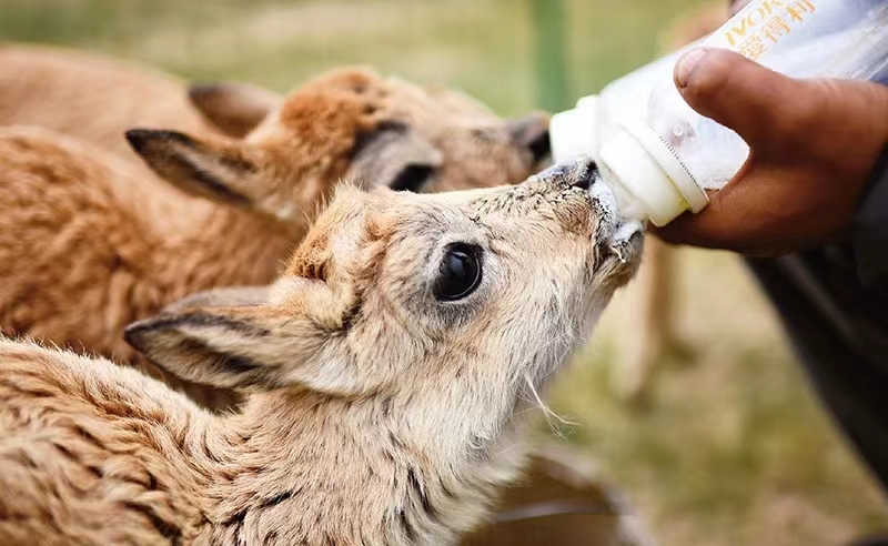 1700103659056059950.jpg 1700103659056059950.jpg