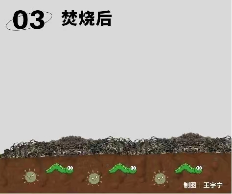 1700813653306005785.jpg 11.14秸稈4.jpg