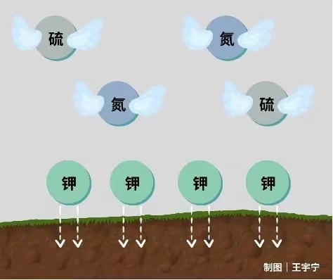 1700813723054088871.jpg 11.14秸稈6.jpg