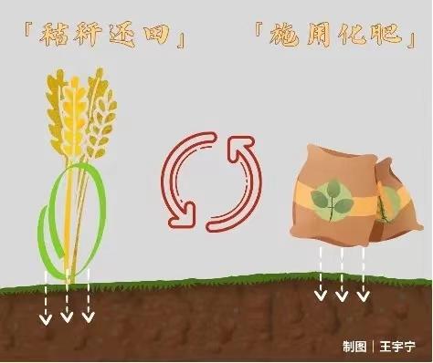 1700813758231079652.jpg 11.14秸稈7.jpg