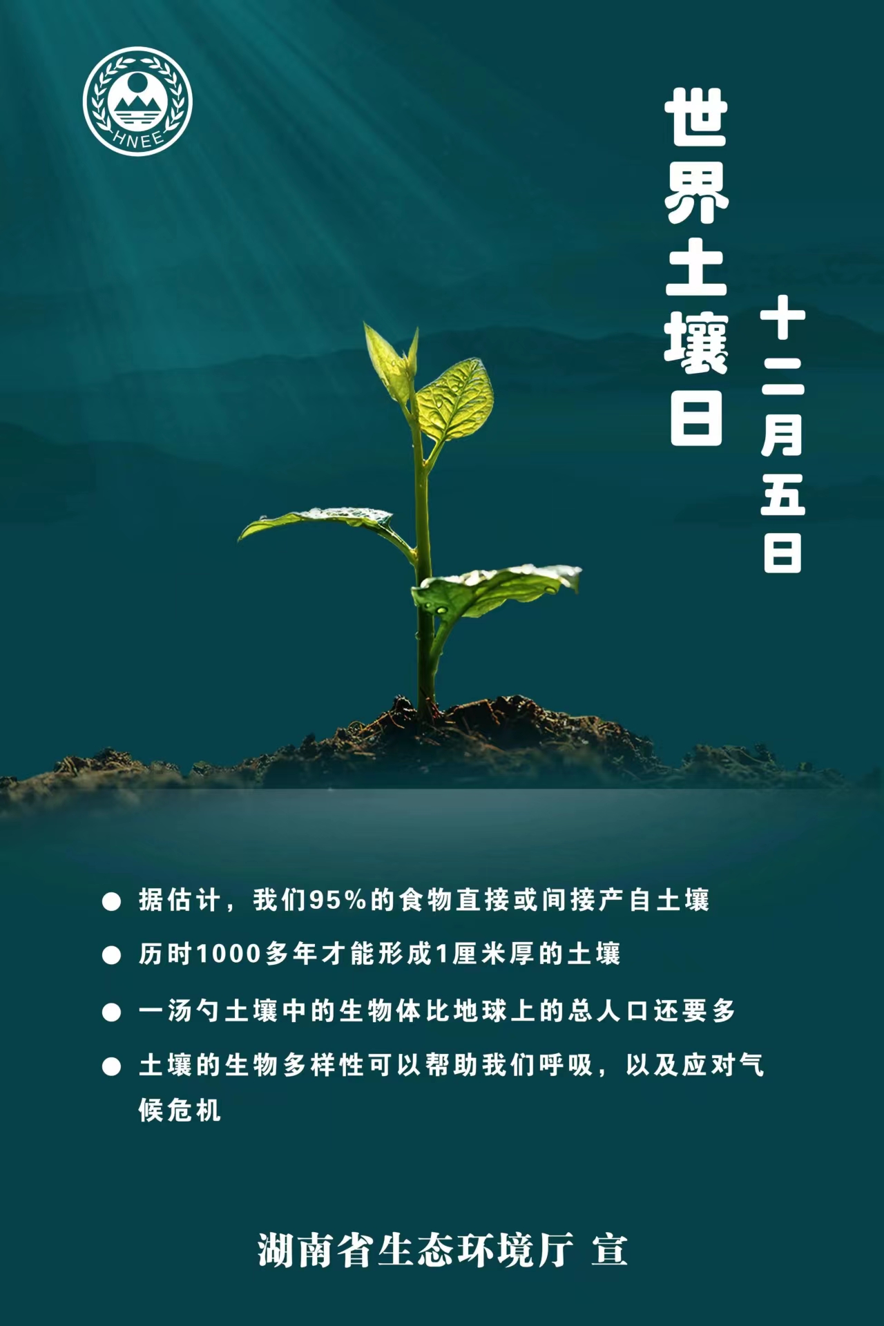 1701769580958009721.jpg 1701769580958009721.jpg