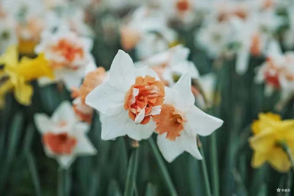 1708327415445059481.jpg 1708327415445059481.jpg