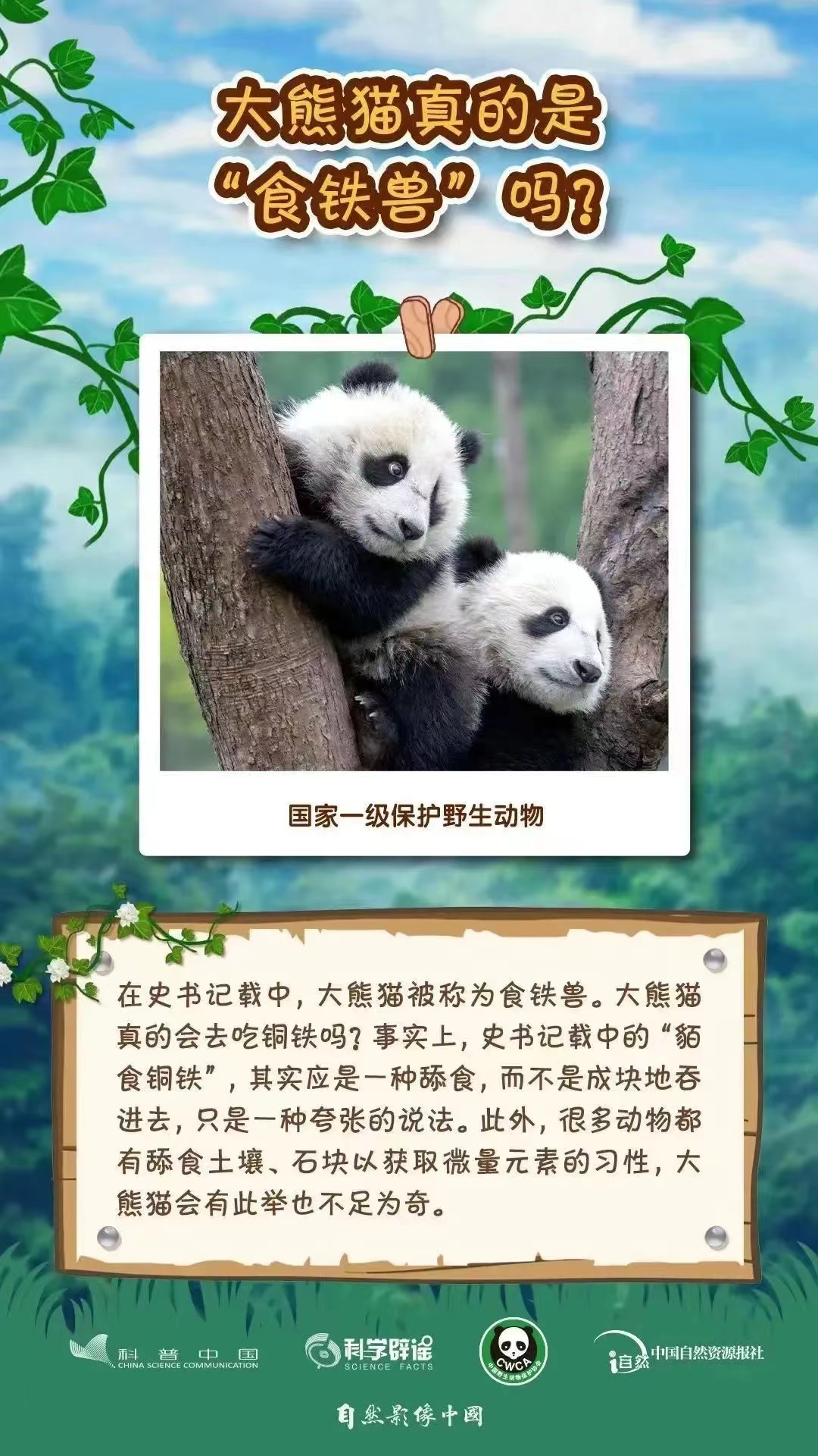 1709512739701019333.jpg 3.4野生動植物日2.jpg