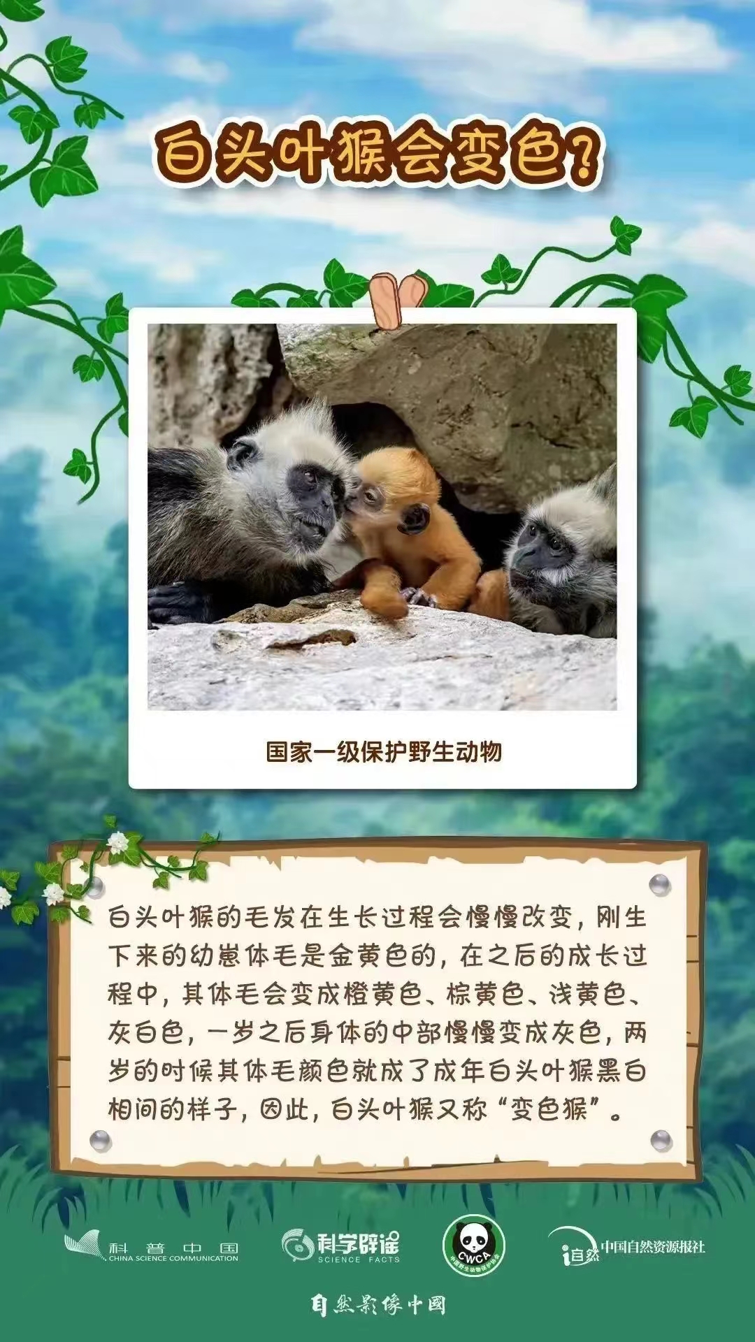 1709512752143030833.jpg 3.4野生動植物日3.jpg