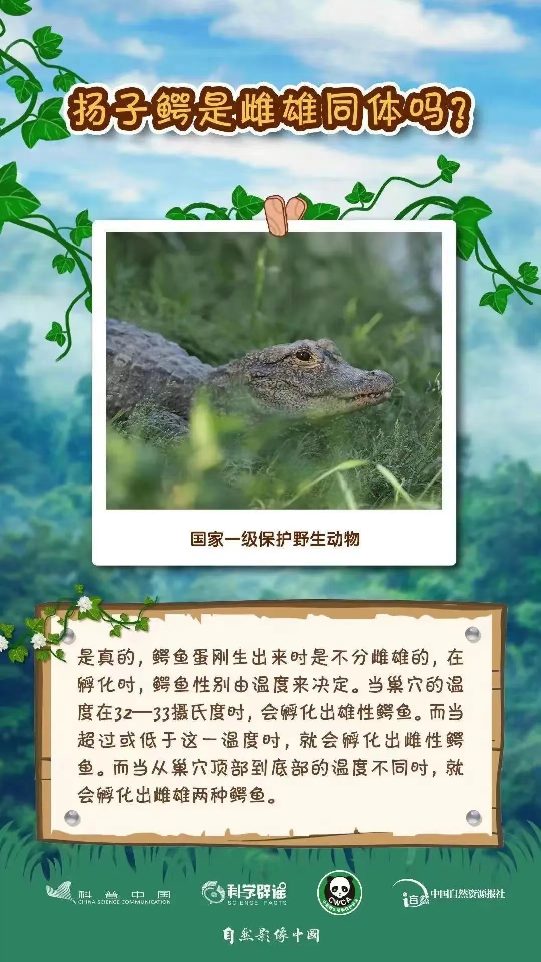 1709512776899096732.jpg 3.4野生動植物日5.jpg