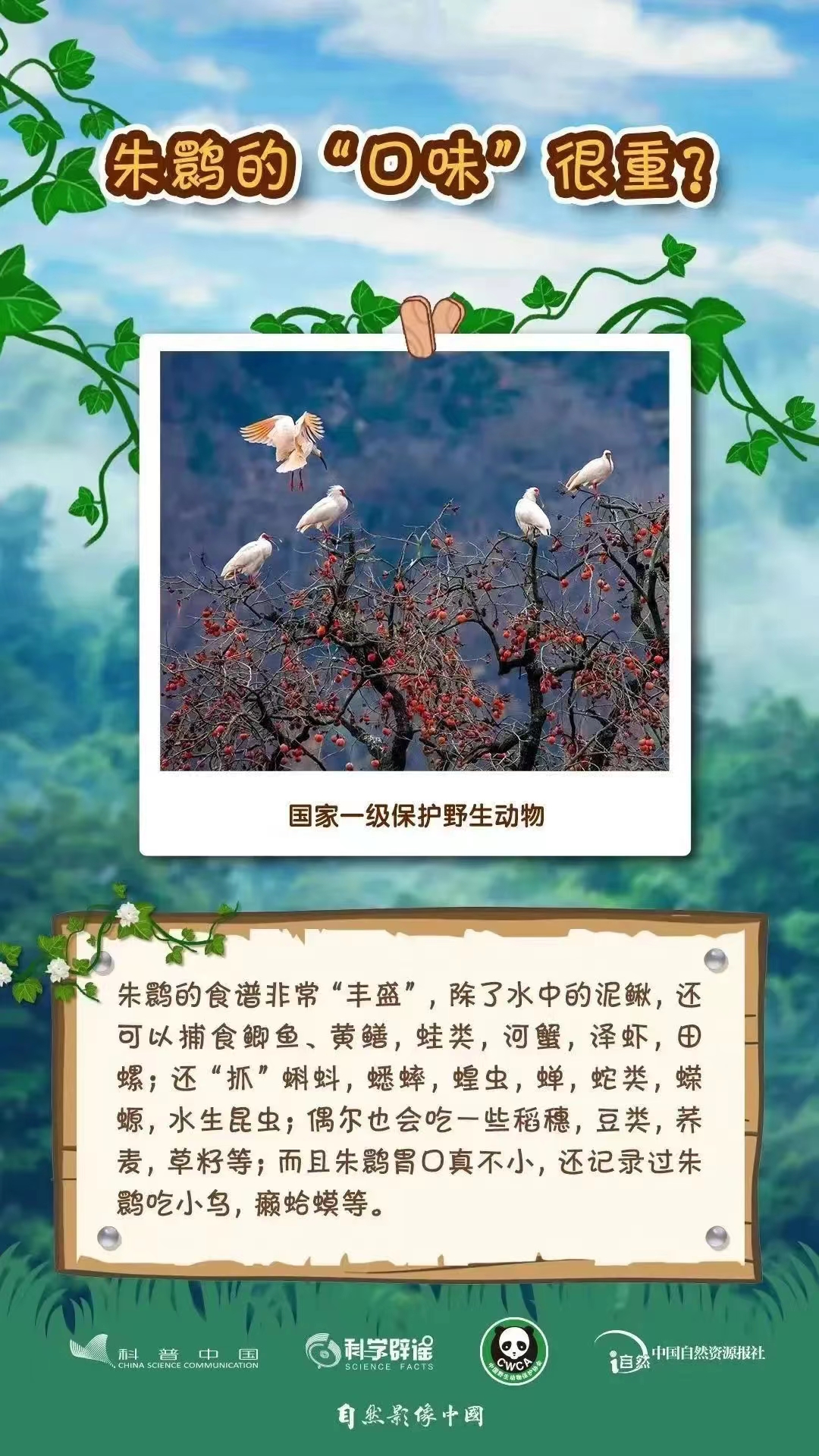 1709512788156093900.jpg 3.4野生動植物日6.jpg