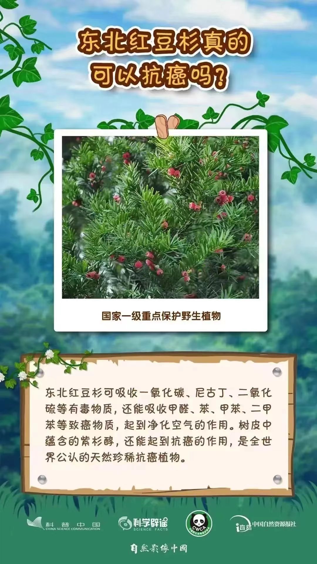 1709512802107085708.jpg 3.4野生動植物日7.jpg