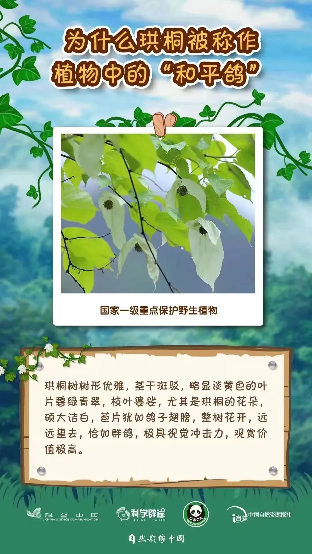 1709512814647028285.jpg 3.4野生動植物日8.jpg