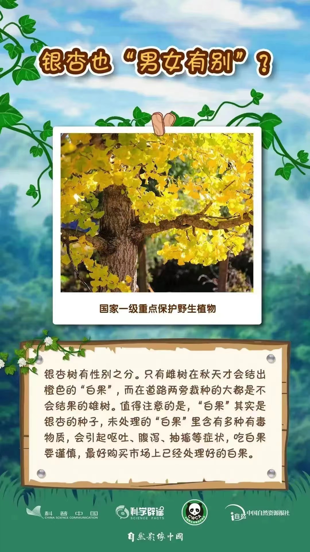 1709512822767047197.jpg 3.4野生動植物日9.jpg