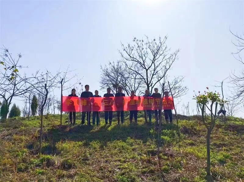 1710299261507047008.jpg 1710299261507047008.jpg