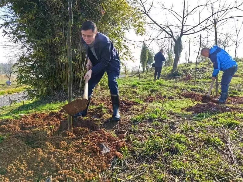 1710299283008032152.jpg 1710299283008032152.jpg