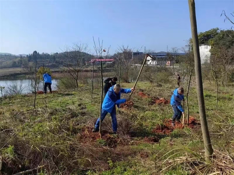 1710299302258085633.jpg 1710299302258085633.jpg