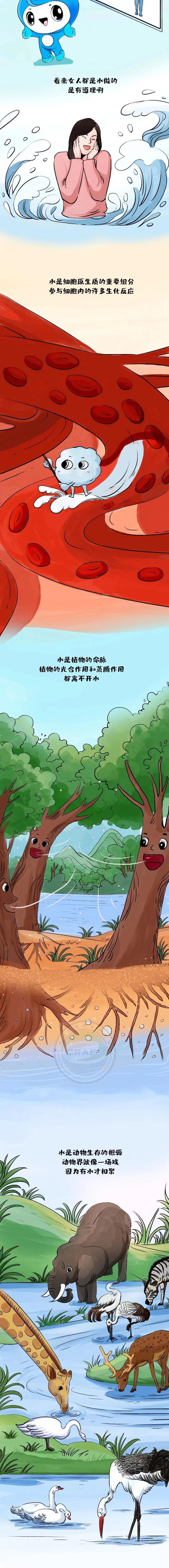 1710819047474042312.jpg 1710819047474042312.jpg