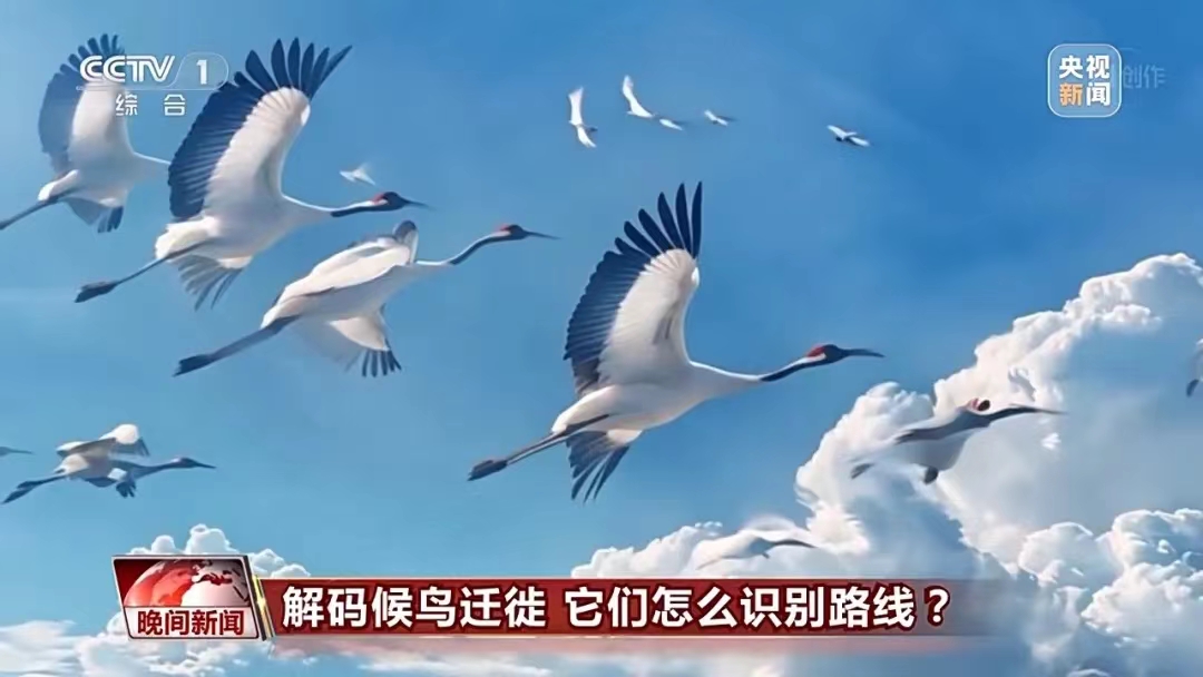 1712132137402050114.jpg 1712132137402050114.jpg