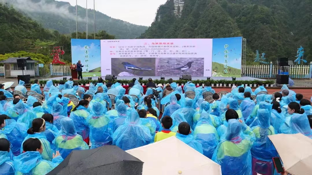 1712135104435032392.jpg 1712135104435032392.jpg