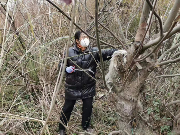 1712620906279056530.png 1712620906279056530.png