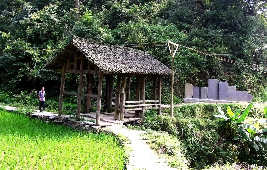 1716888299895082795.jpg 1716888299895082795.jpg