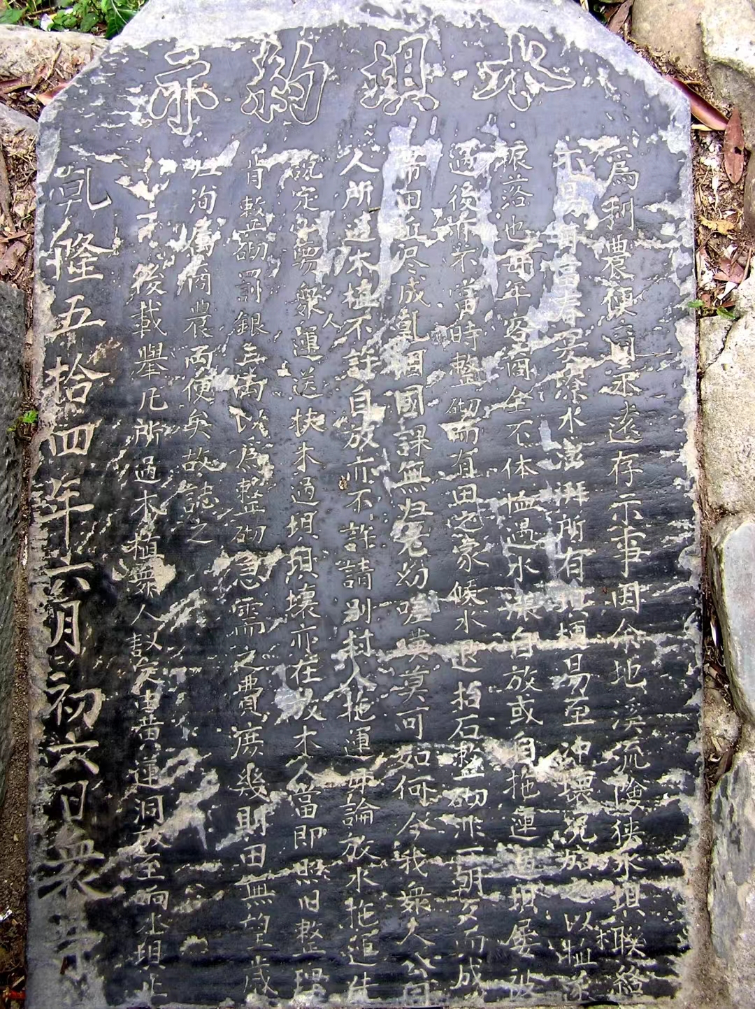 1716888352823023523.jpg 5.28生態(tài)文化2.jpg