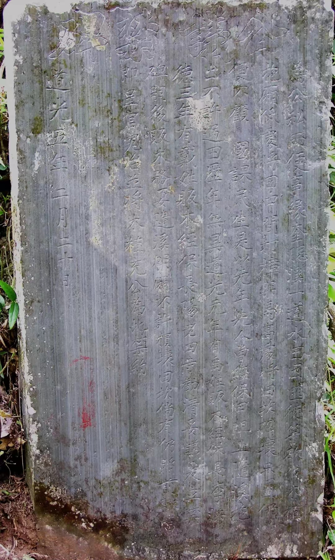 1716888372223097198.jpg 5.28生態(tài)文化3.jpg