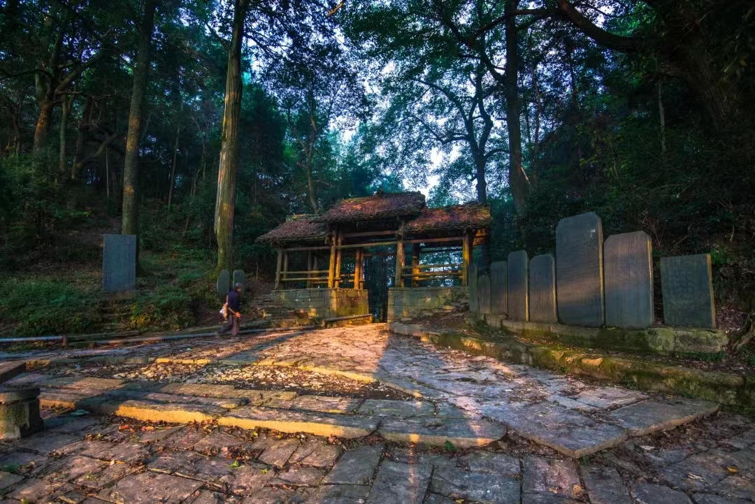 1716888480222087762.jpg 1716888480222087762.jpg