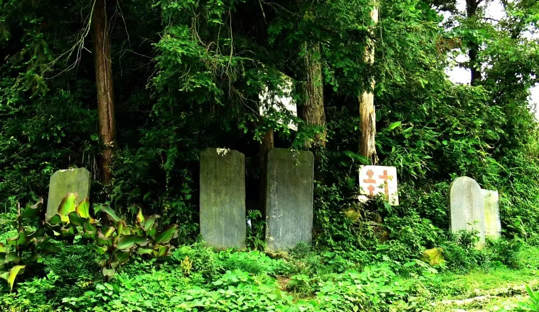 1716888538842032081.jpg 1716888538842032081.jpg