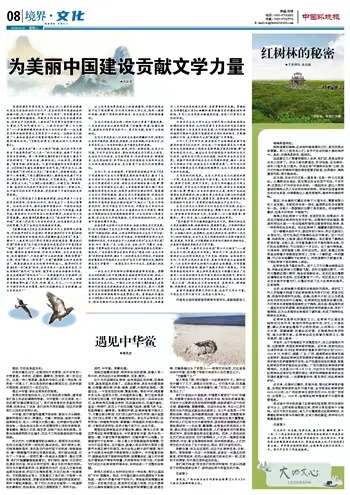 1718762979924044366.jpg 6.19生態文化.jpg