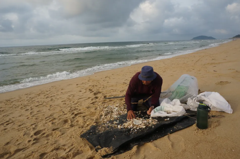 1725528774272027804.jpg 1725528774272027804.jpg