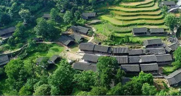 1730099374063012912.jpg 1730099374063012912.jpg