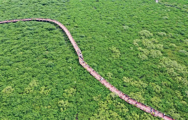 1730964742364010014.jpeg 1730964742364010014.jpeg