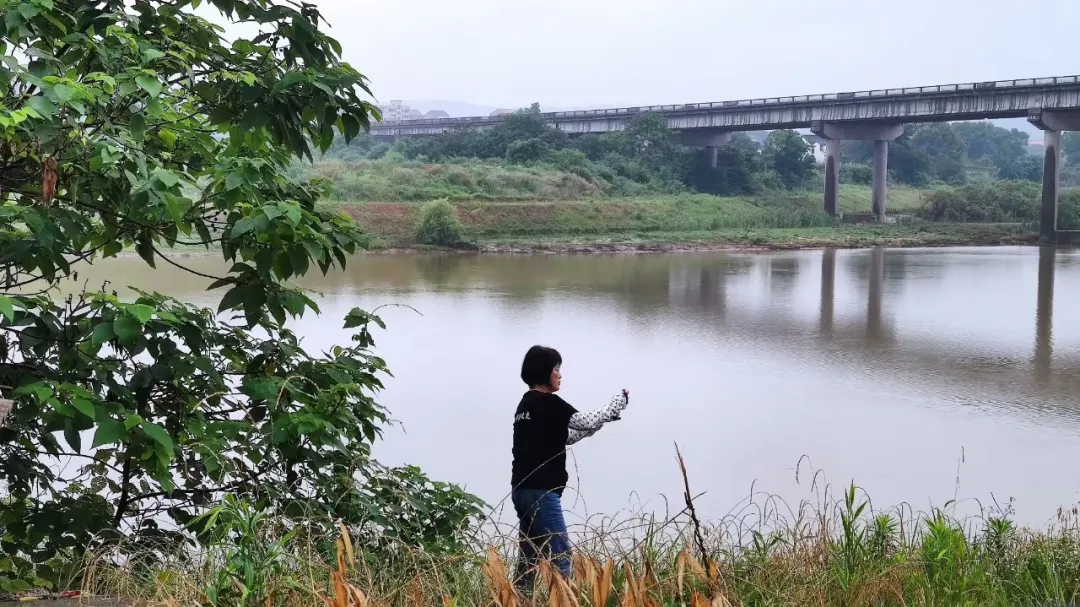 1737448714549033732.jpg 1737448714549033732.jpg