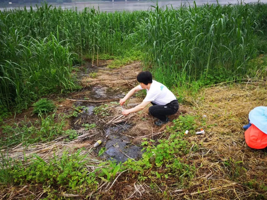 1737449492051043807.jpg 1737449492051043807.jpg