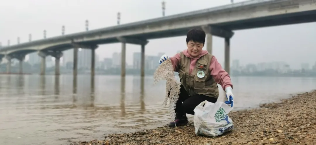 1737449545062013784.jpg 1737449545062013784.jpg