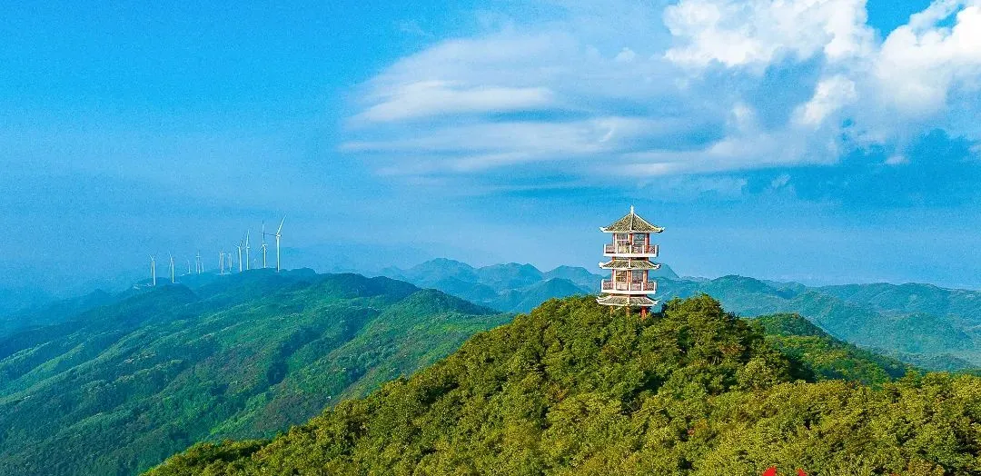 1739414298268056415.png 1739414298268056415.png