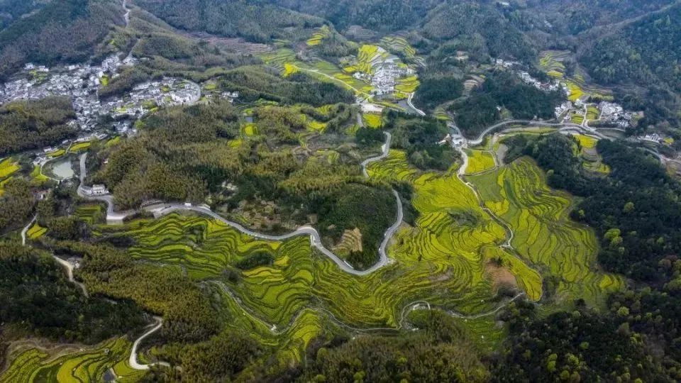 1739414318480032138.jpeg 1739414318480032138.jpeg