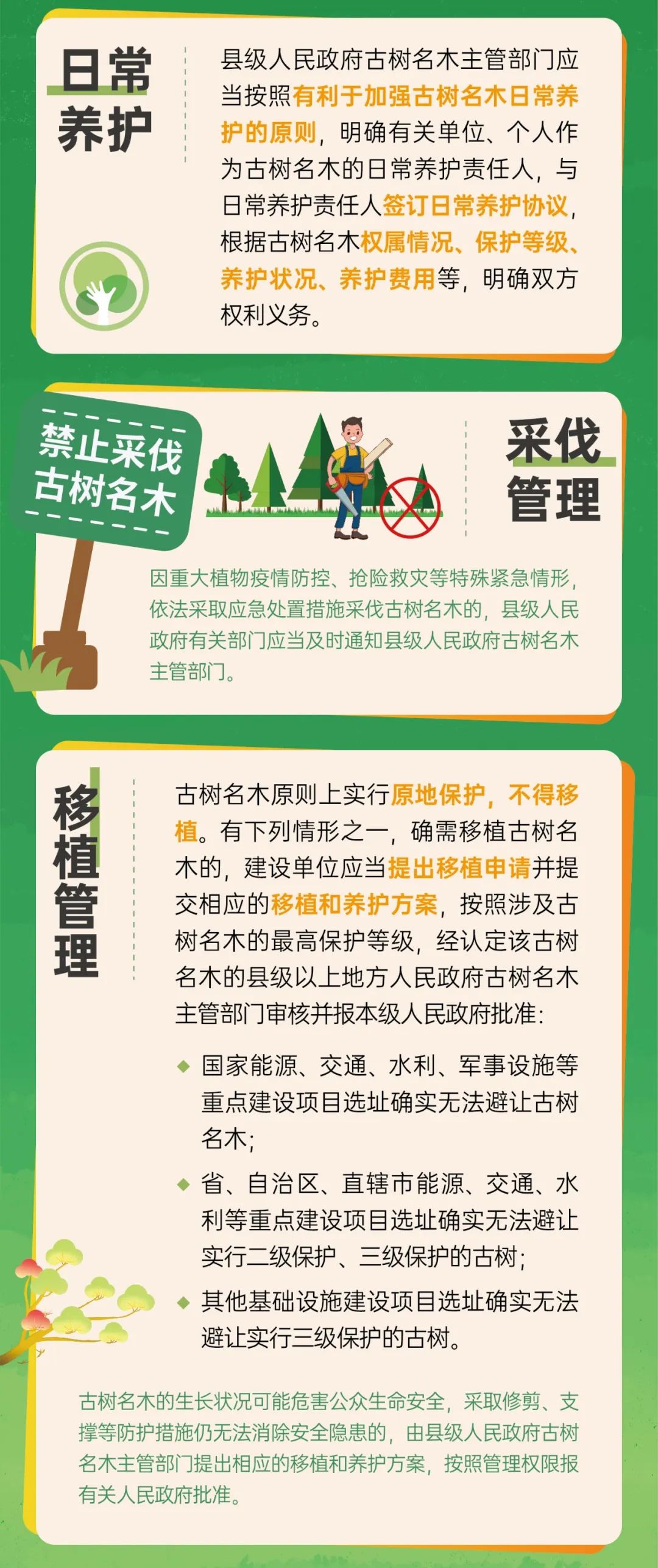 1739500464271075662.jpeg 1739500464271075662.jpeg