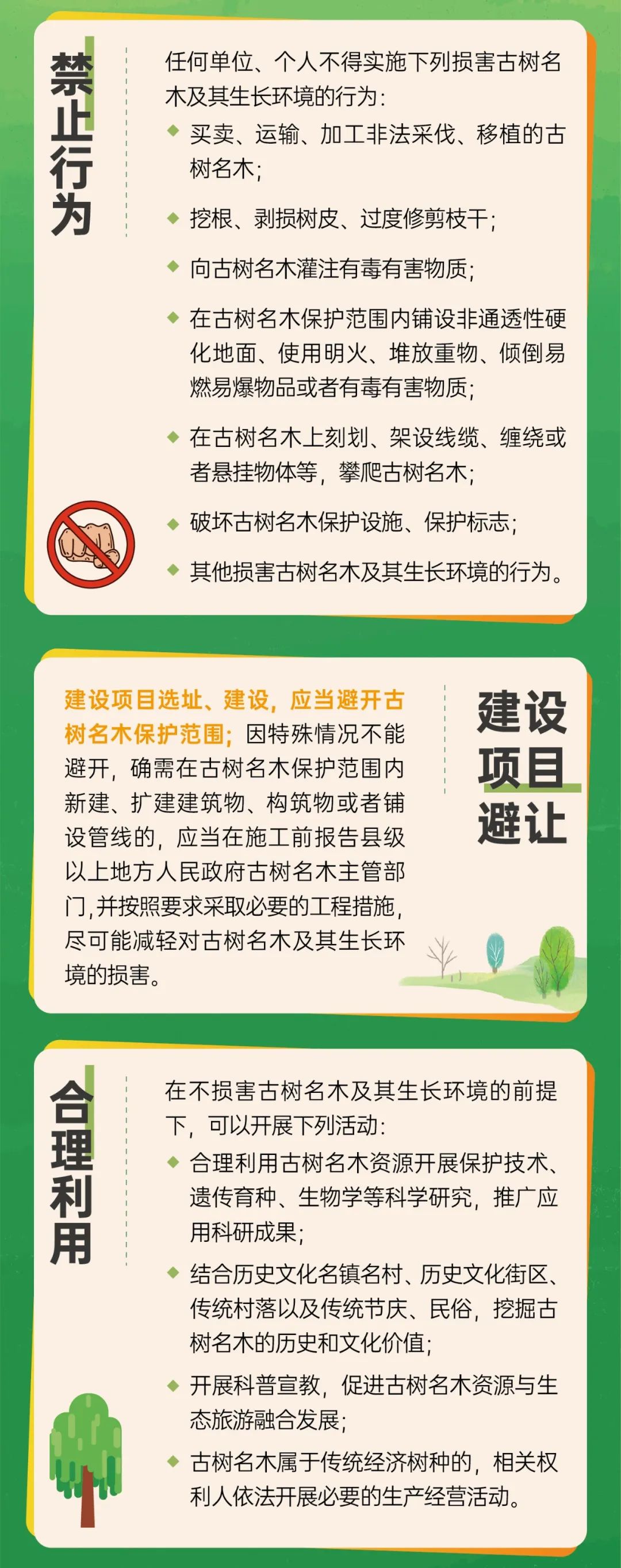 1739500484056044251.jpeg 1739500484056044251.jpeg