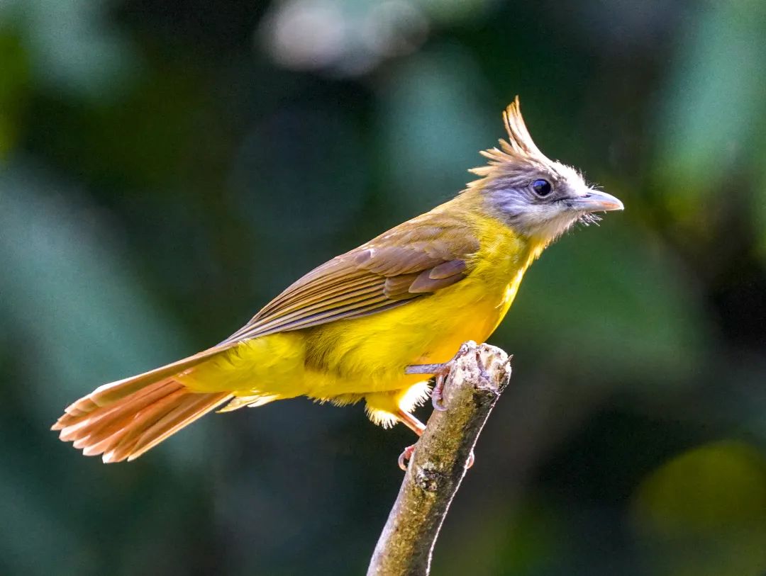 1739863549483087222.jpeg 1739863549483087222.jpeg