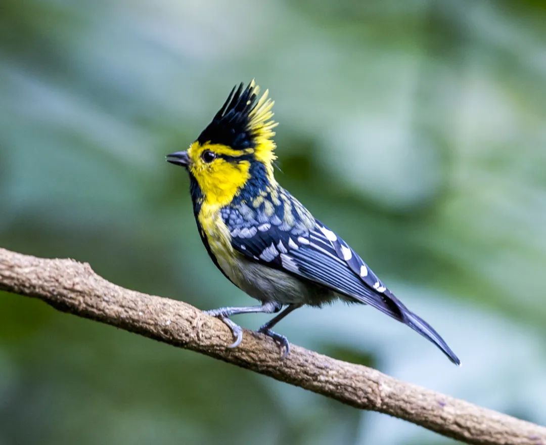 1739863571574008212.jpeg 1739863571574008212.jpeg