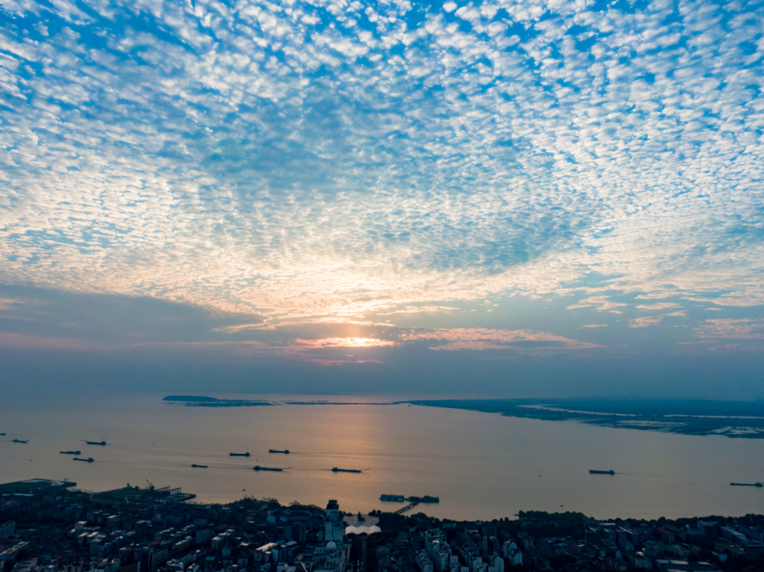 1739933500266018370.png 1739933500266018370.png