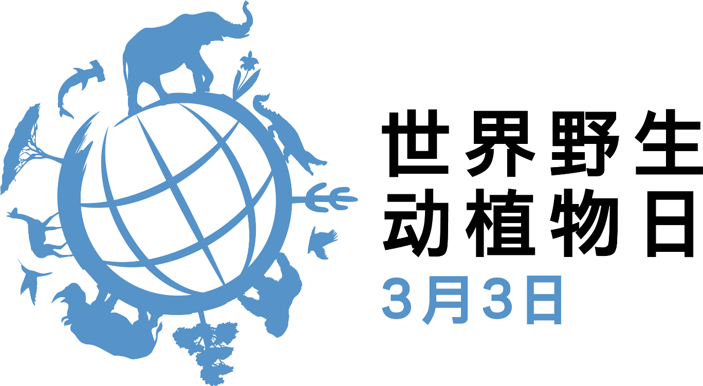 1740968214373064390.jpg 1740968214373064390.jpg