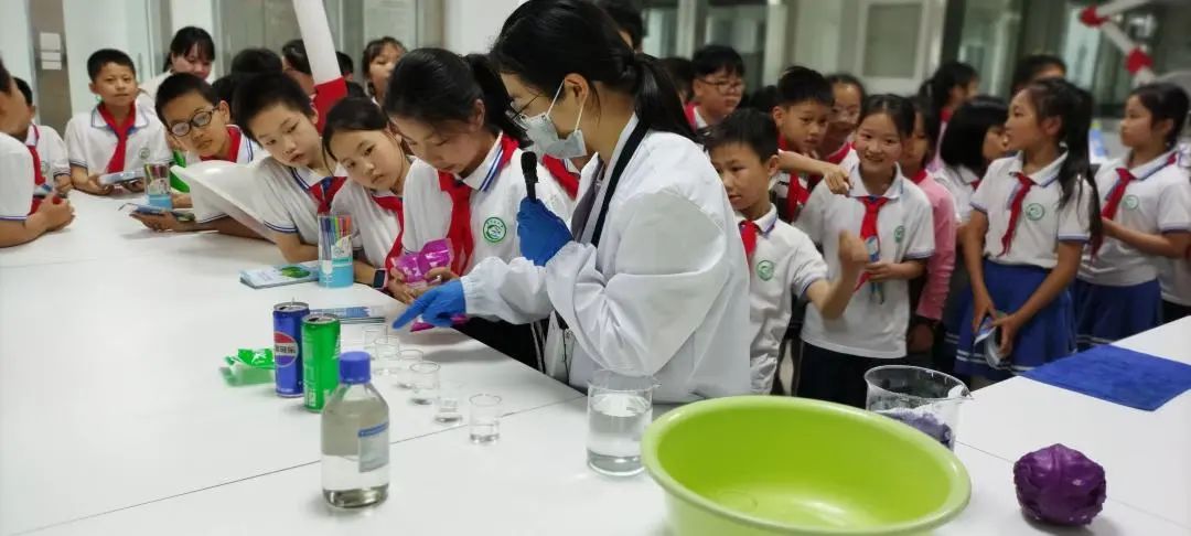 1745544093271082547.jpeg 1745544093271082547.jpeg