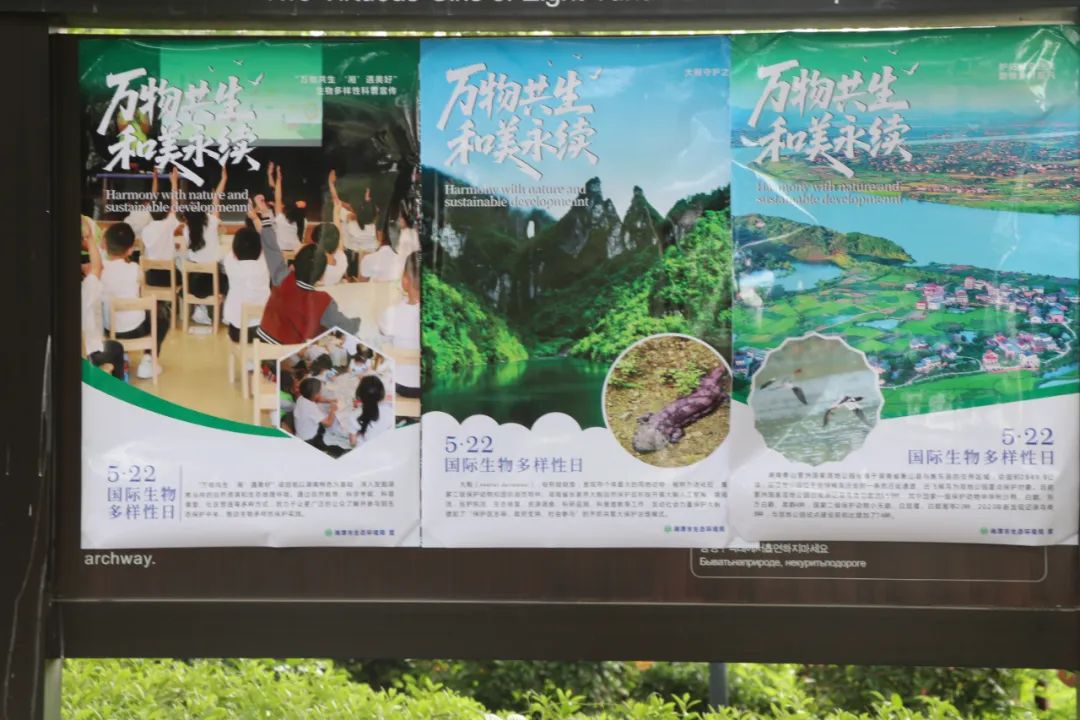 1747702636587063901.jpeg 1747702636587063901.jpeg