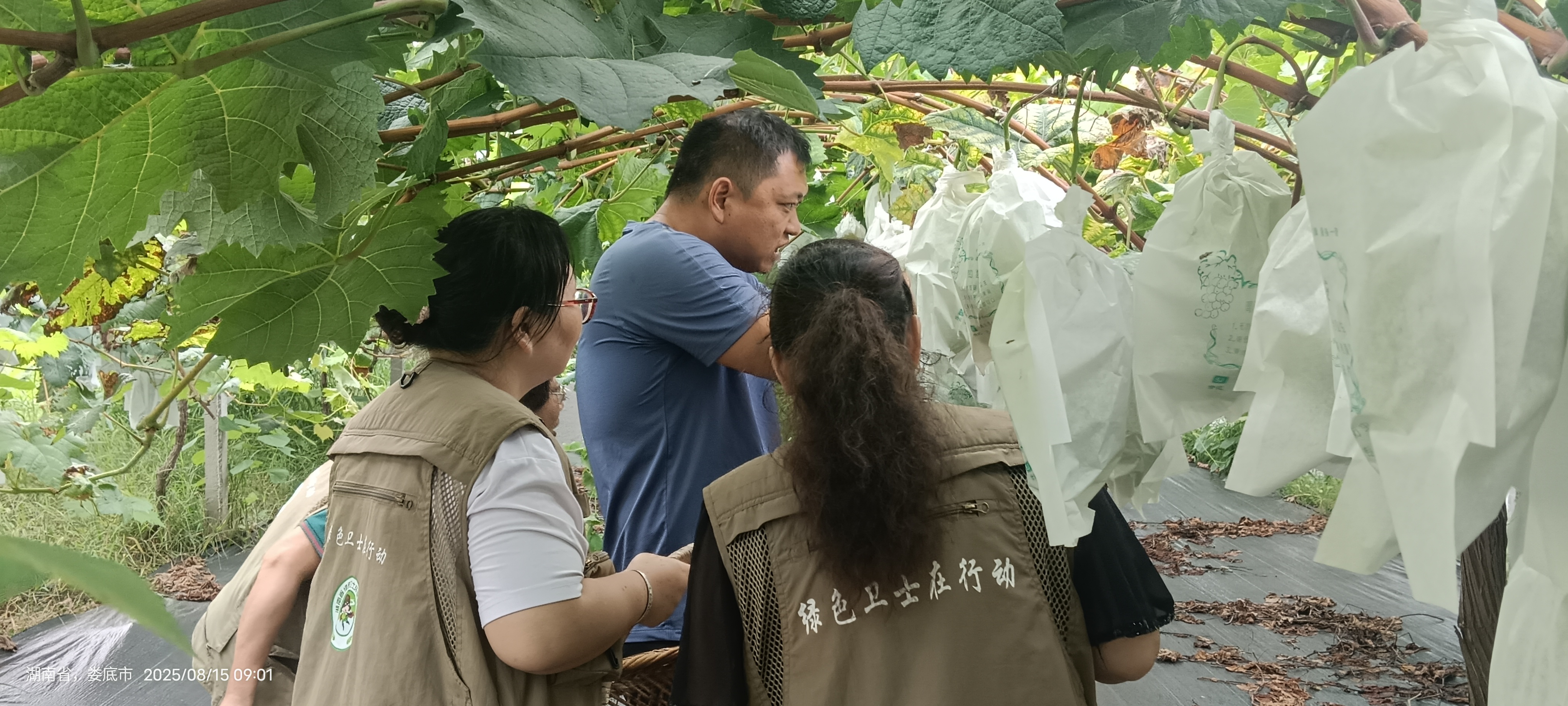 1755501967565089743.jpg 1755501967565089743.jpg