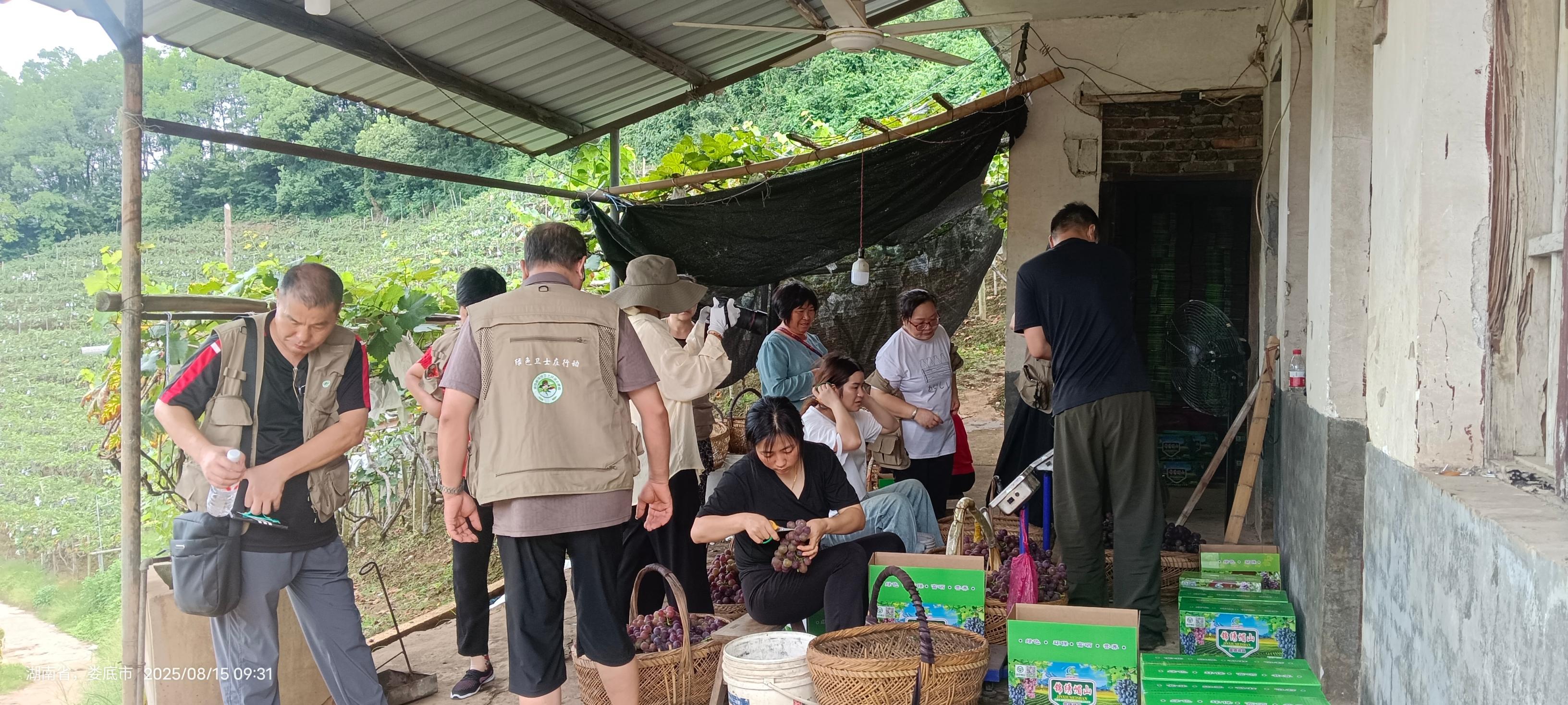 1755502010373036540.jpg 1755502010373036540.jpg