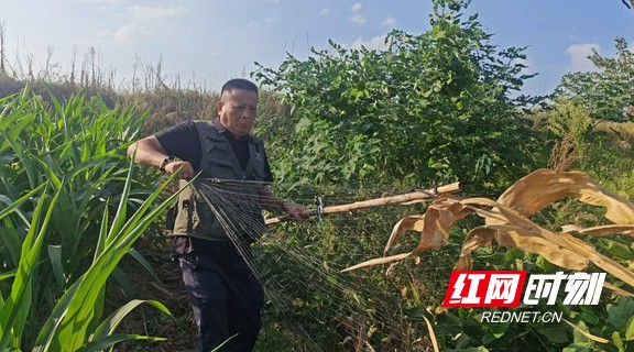 微信圖片_20250918221100_899_338.marked.jpg 微信圖片_20250918221100_899_338.marked.jpg